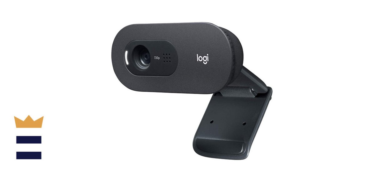 Logitech C505 HD Webcam