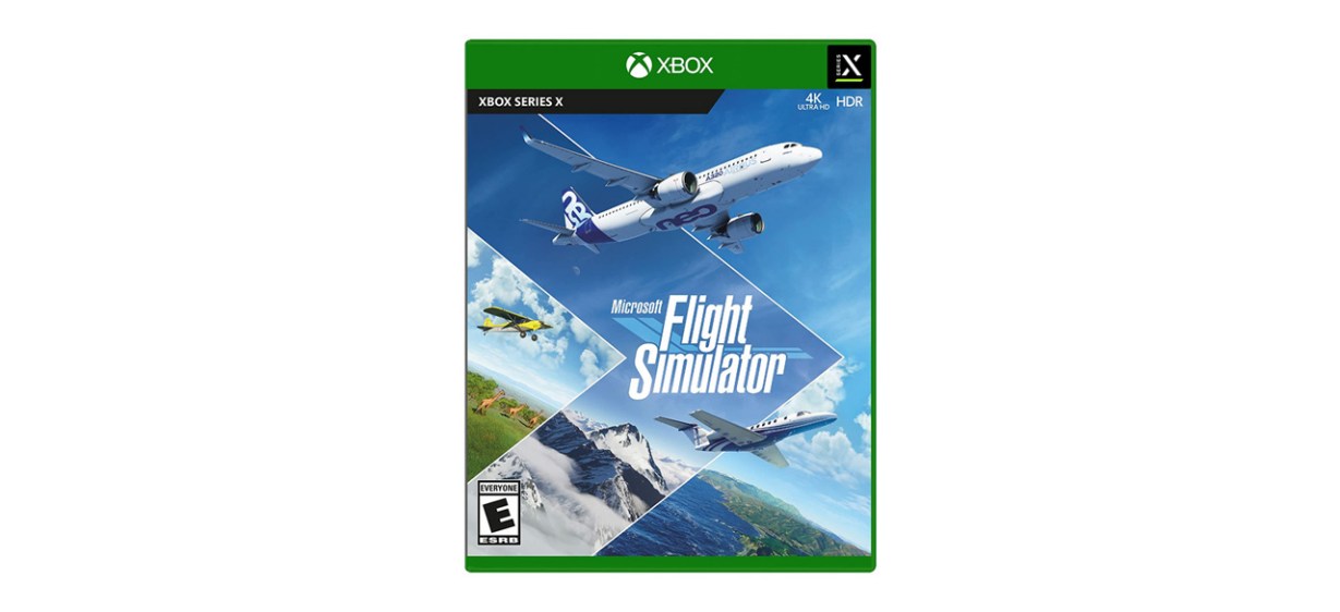 Microsoft Flight Simulator Standard Edition