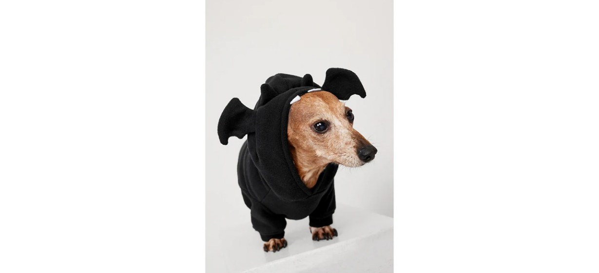 Best Microfleece Costume Hoodie for Pets