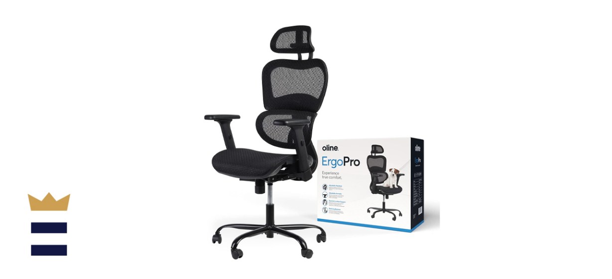 Oline ErgoPro Ergonomic Office Chair