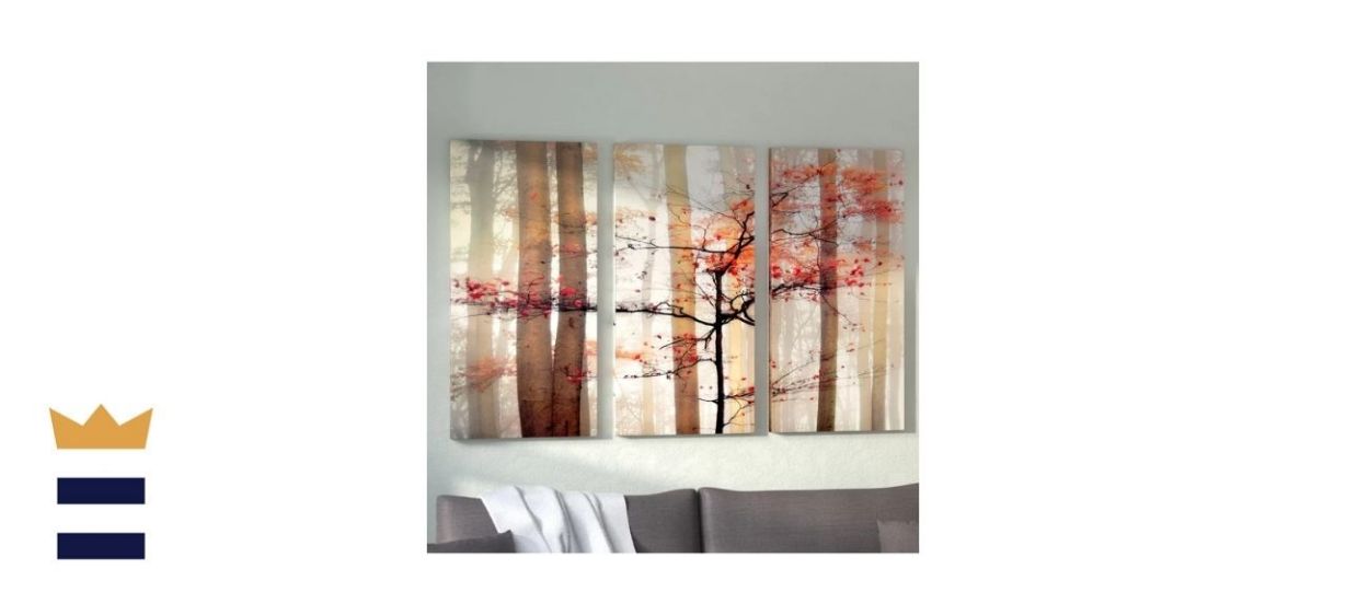 Orange Awakening Three-Piece Photograph on Canvas