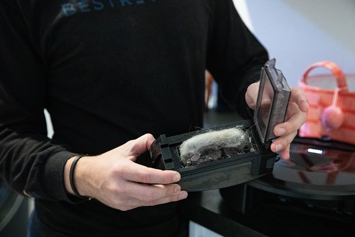 Person emptying dustbin