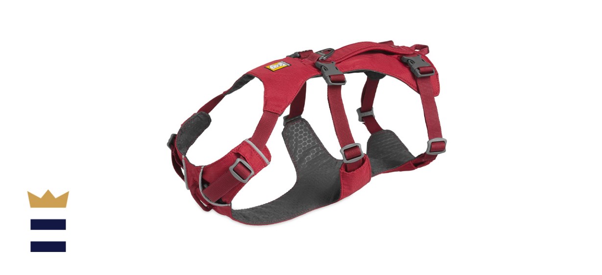 RUFFWEAR, Flagline Lightweight Multi-Purpose Harness for Dogs