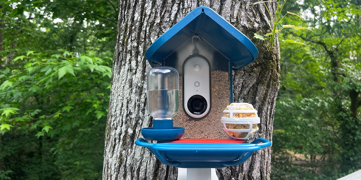 The Bird Buddy Smart Bird Feeder Pro