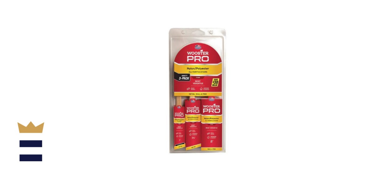 Wooster Paint Brush Set