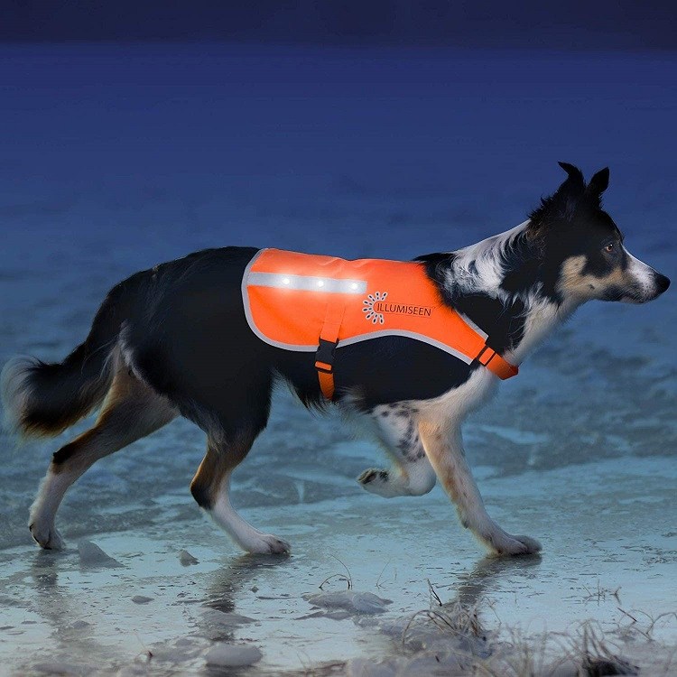 best reflective dog vest