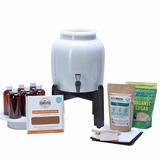 Best Kombucha Starter Kits 