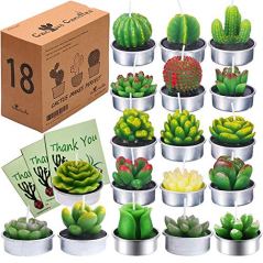 AiXiAng Tealight Cactus Candles