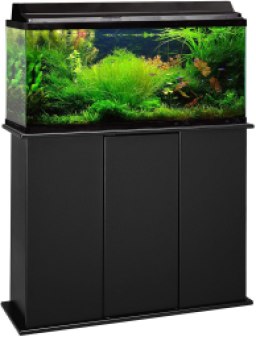 Aquatic Fundamentals