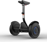 Segway Ninebot S/S MAX/S2 Smart Self-Balancing Scooter