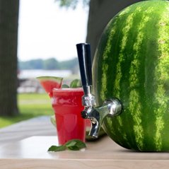 Blazin' Bison Blazin' Watermelon Tap - Brass and Chrome Keg Kit