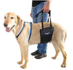 GingerLead Dog Support & Rehabilitation Harness