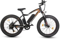ECOTRIC Fat Tire Electric Bike