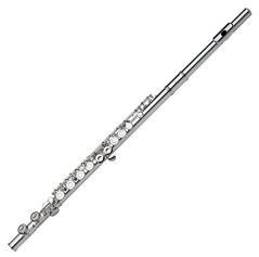 Gemeinhardt 1SP Student Flute