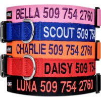 GoTags  Personalized Dog Collar