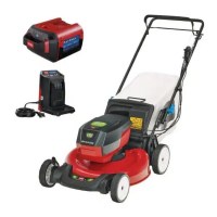 Toro Recycler 21 in. Walk Behind Mower